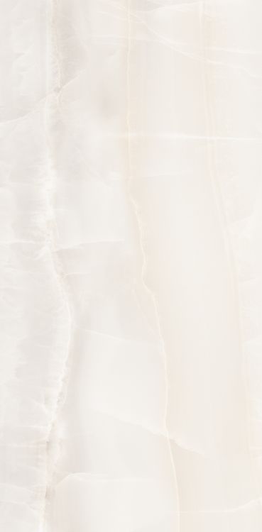 Akoya White Polished 12 x 24